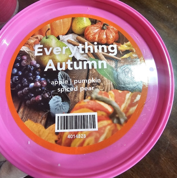 Pink Zebra Everything Autumn Carton - Picture 1 of 3